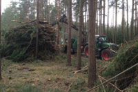 Befüllung des Holzhackers. 